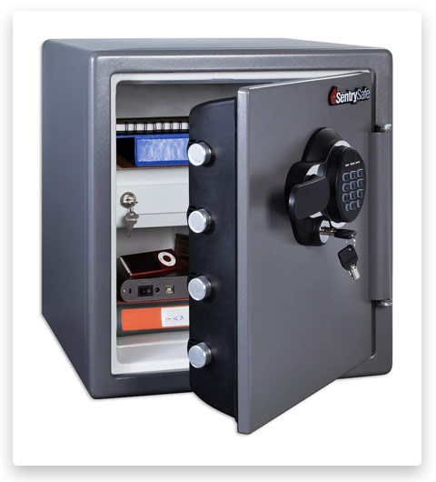 best small biometric gun safe