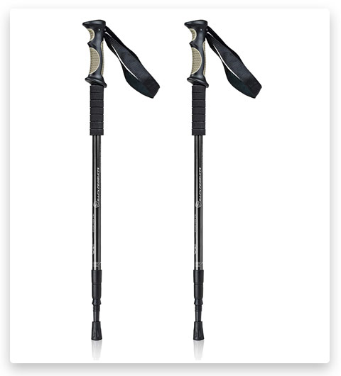 equi peak trekking pole