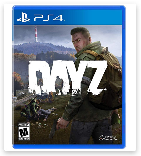 DayZ