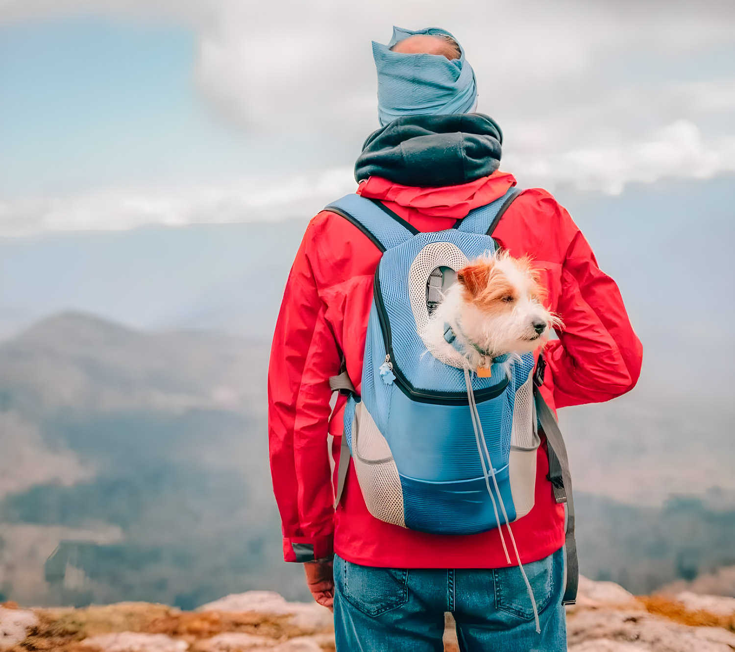 Best Dog Carrier Backpack
