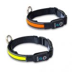 TOP-10 Best GPS Dog Collars - Editor's Choice