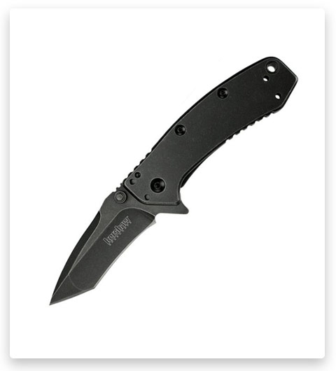 Kershaw Cryo Assisted Open Knife