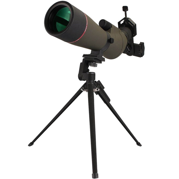 Read more about the article Best Spotting Scope For The Money 2024