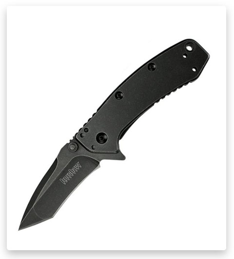 Kershaw Cryo Assisted Folding Knife