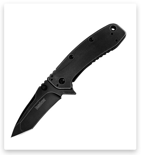 Kershaw Cryo II Folding Knife