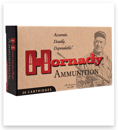 Hornady Custom 450 Bushmaster Ammo 250 Grain