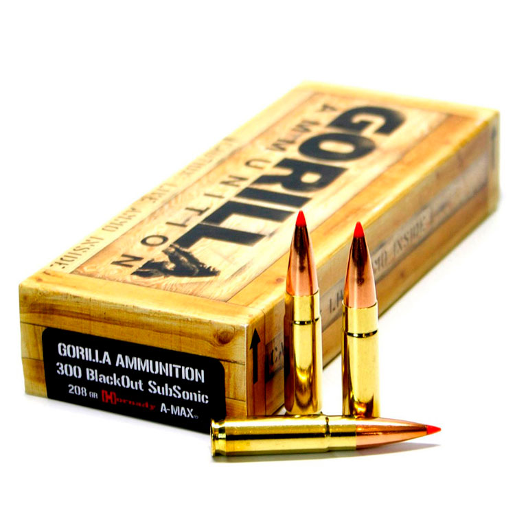 Read more about the article Best 300 Blackout Ammo 2024