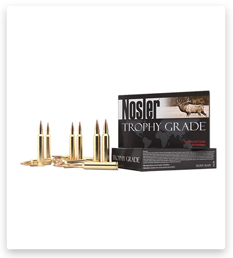 Nosler Trophy Grade 300 Winchester Magnum Ammo 190 Grain