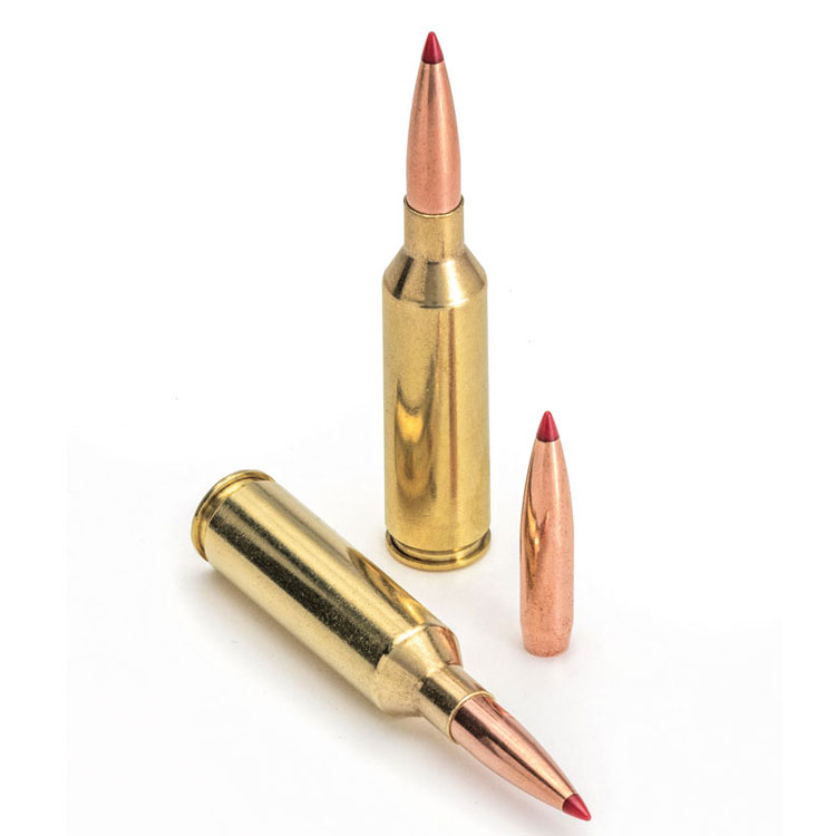 Read more about the article Best 6.5 PRC Ammo 2022