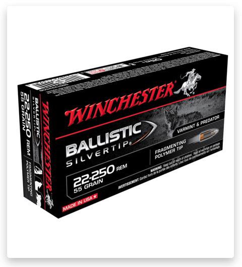 Winchester BALLISTIC SILVERTIP 22-250 Remington Ammo 55 grain