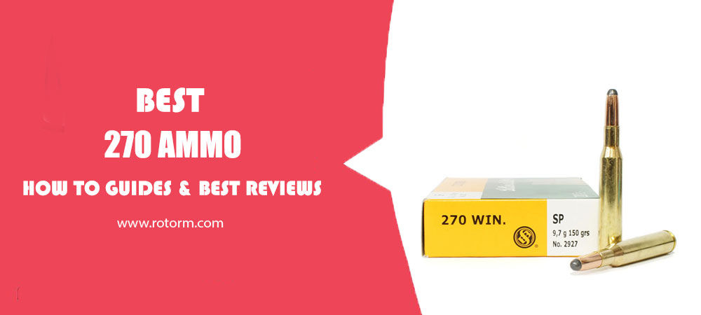 Best 270 Ammo