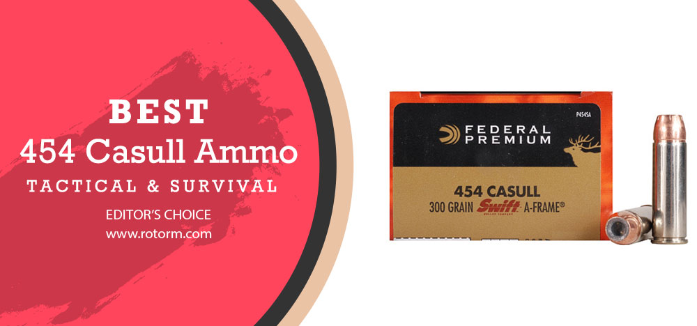 Best 454 Casull Ammo - Editor's Choice