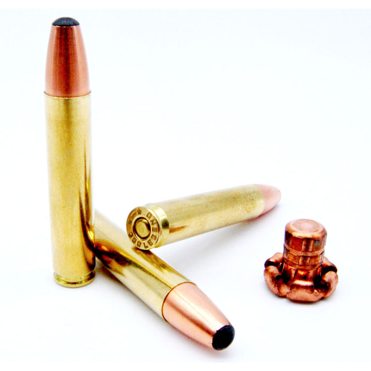 Read more about the article Best 350 Legend Ammo 2024