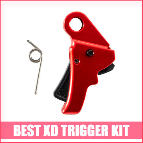 Read more about the article Best XD Trigger Kit