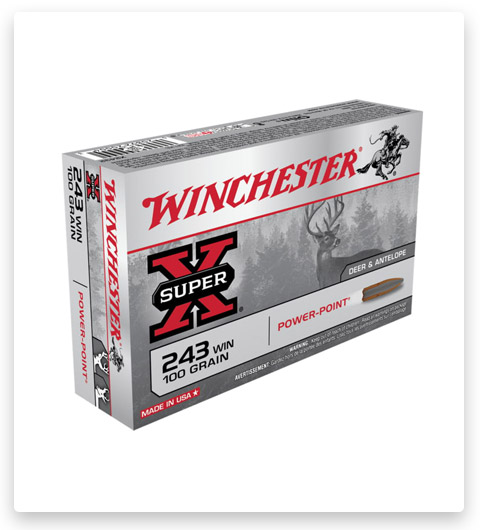 Winchester SUPER-X RIFLE .243 Winchester Brass Ammunition