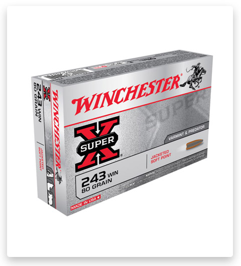 Winchester SUPER-X RIFLE .243 Winchester Brass Ammunition