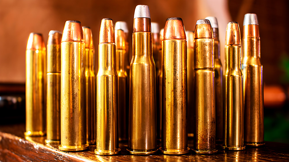 Best Winchester Brass Reviews