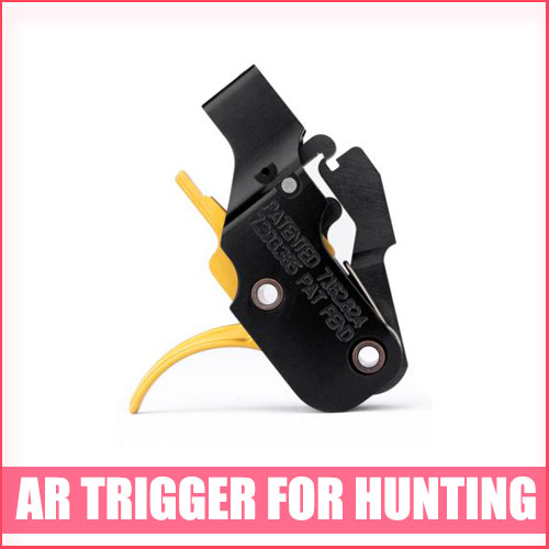 Best AR Trigger for Hunting