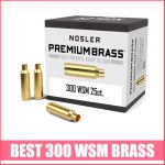 Best 300 WSM Brass