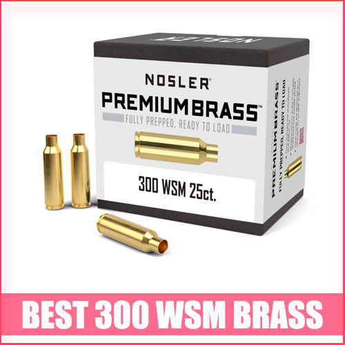 Read more about the article Best 300 WSM Brass