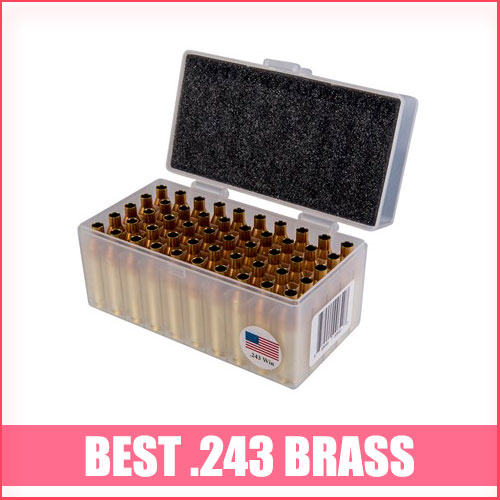 Read more about the article Best 243 Brass