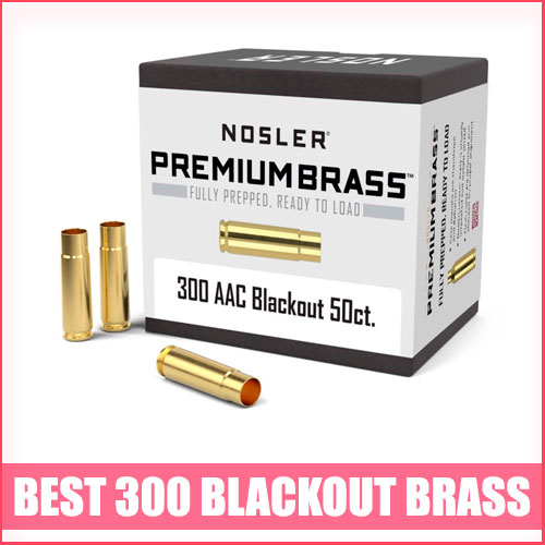Read more about the article Best 300 Blackout Brass