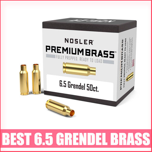 Read more about the article Best 6.5 Grendel Brass