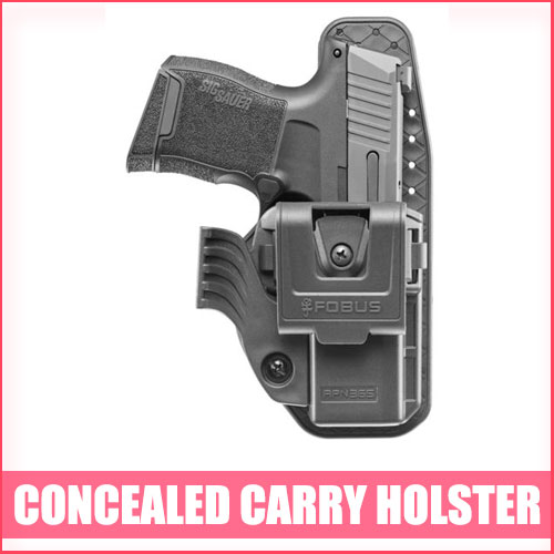 Read more about the article Best Concealed Carry Holster