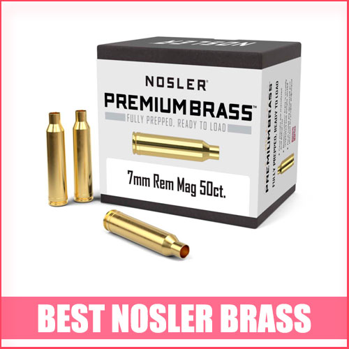 Best Nosler Brass