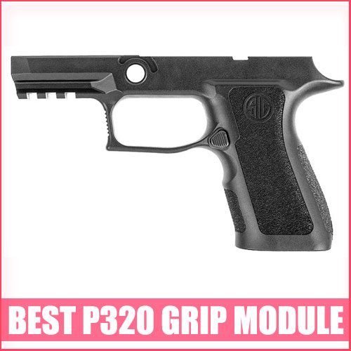 Read more about the article Best P320 Grip Module