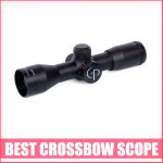 Best Crossbow Scope
