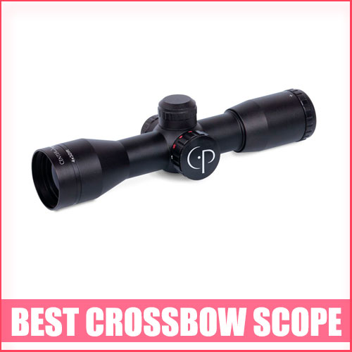 Best Crossbow Scope