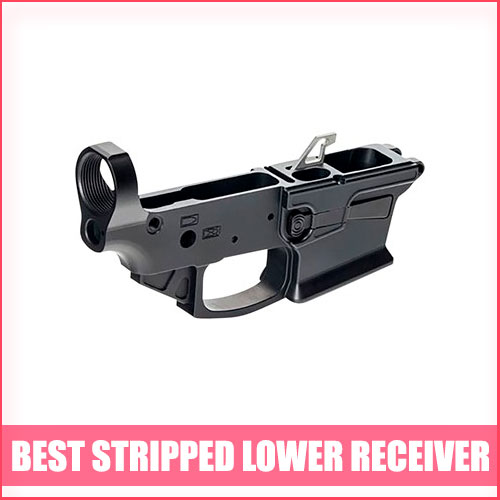 Read more about the article Best Stripped Lower Receiver