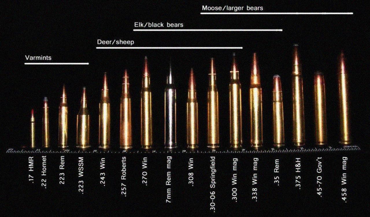 How to read bullet sizes?