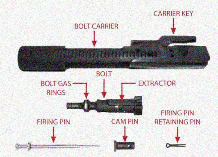 What is a BCG on a rifle?