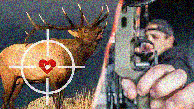 What is the preferred rifle shot for large game?
