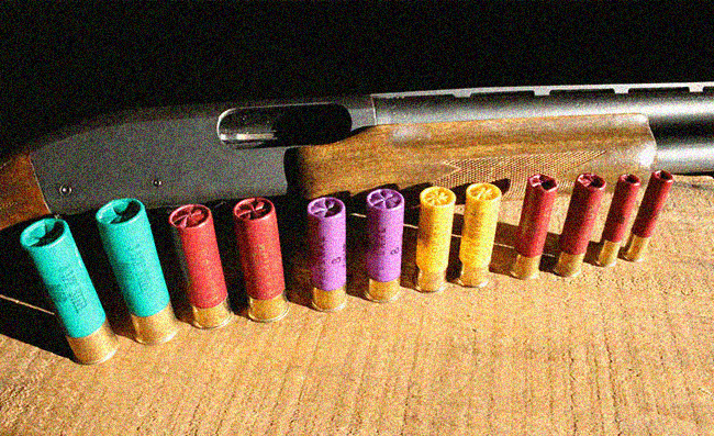 How to choose 12 gauge ammo?