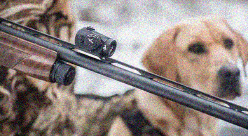 What is the best shotgun sight for duck hunting?