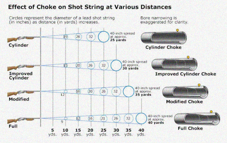What two shotgun chokes are best for hunting small?