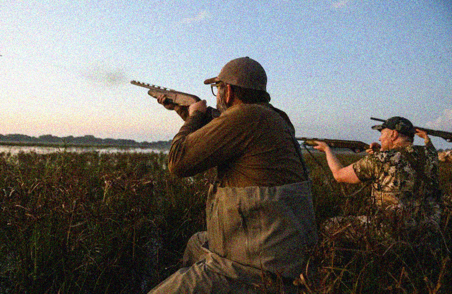 Why do hunters pattern their shotguns?