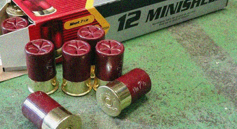 Can you reload mini shotgun shells?