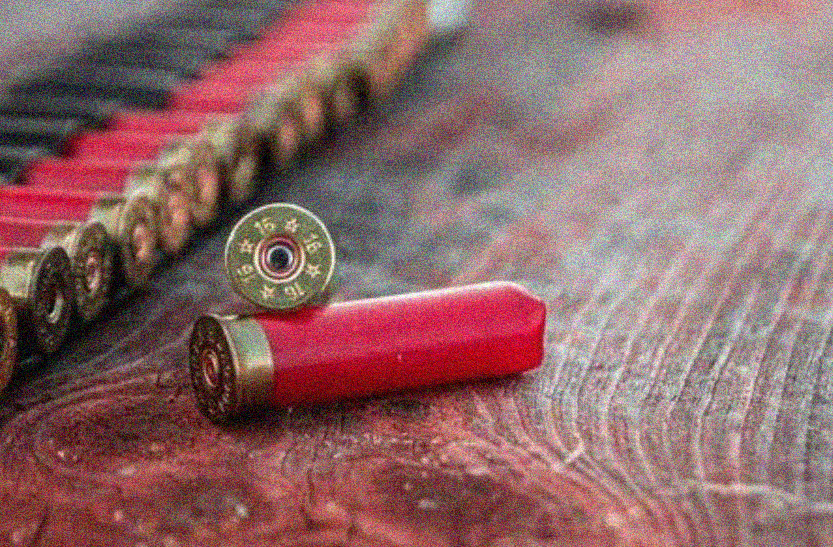 How to remove a live primer from a shotgun shell?