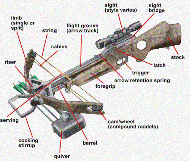 What is a riser on a crossbow?