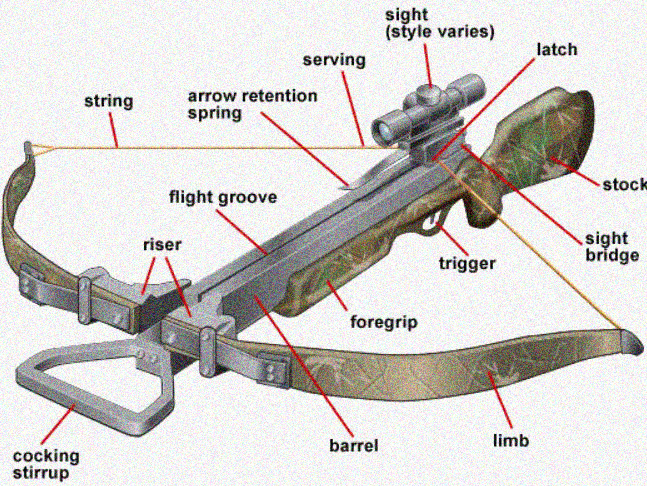 What is a riser on a crossbow?