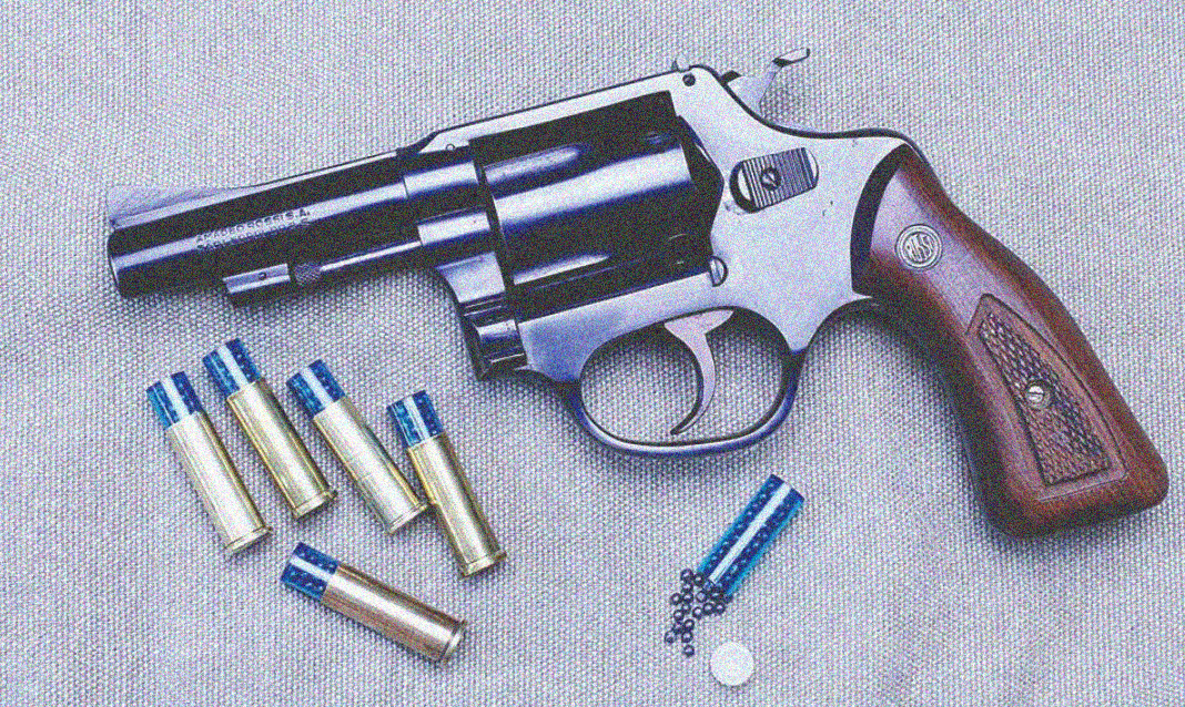 Can you shoot rat shot in a revolver?
