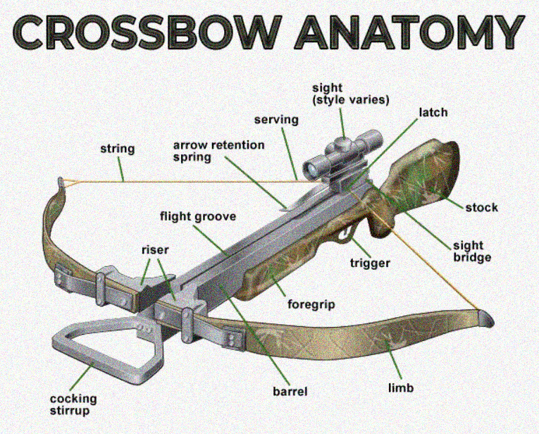 What is a riser on a crossbow?