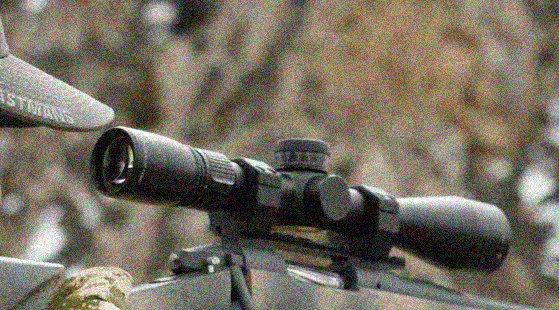 Are Vortex scopes good?