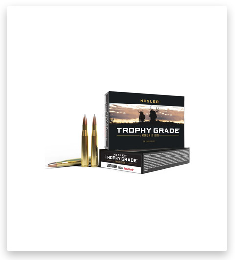 .300 H&H Mag – Nosler Trophy Grade