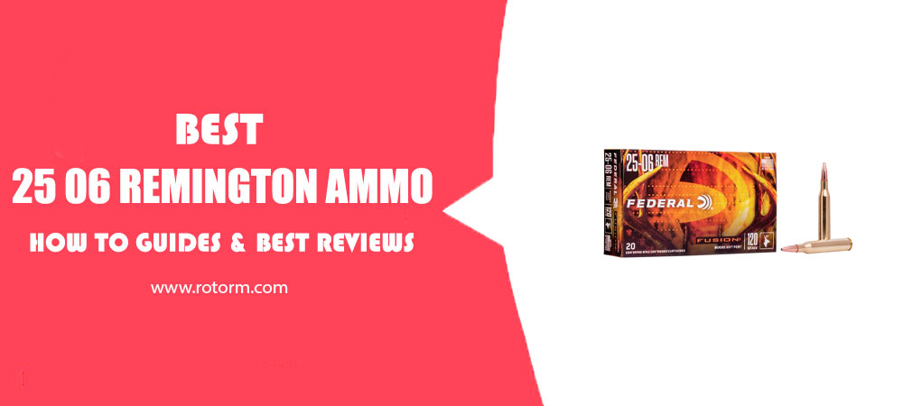 Best 25 06 Remington Ammo