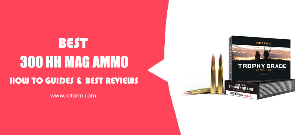 Best 300 HH Mag Ammo